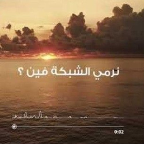 نرمي الشبكه فين بيتر ساويرس