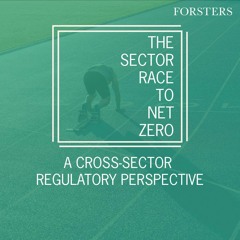 The Sector Race to Net Zero – a cross-sector regulatory perspective