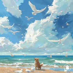Seagulls Don't Bark (x Broad)