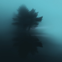 memories in the past