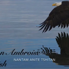 ti john ambroise-nantem anite tshitan