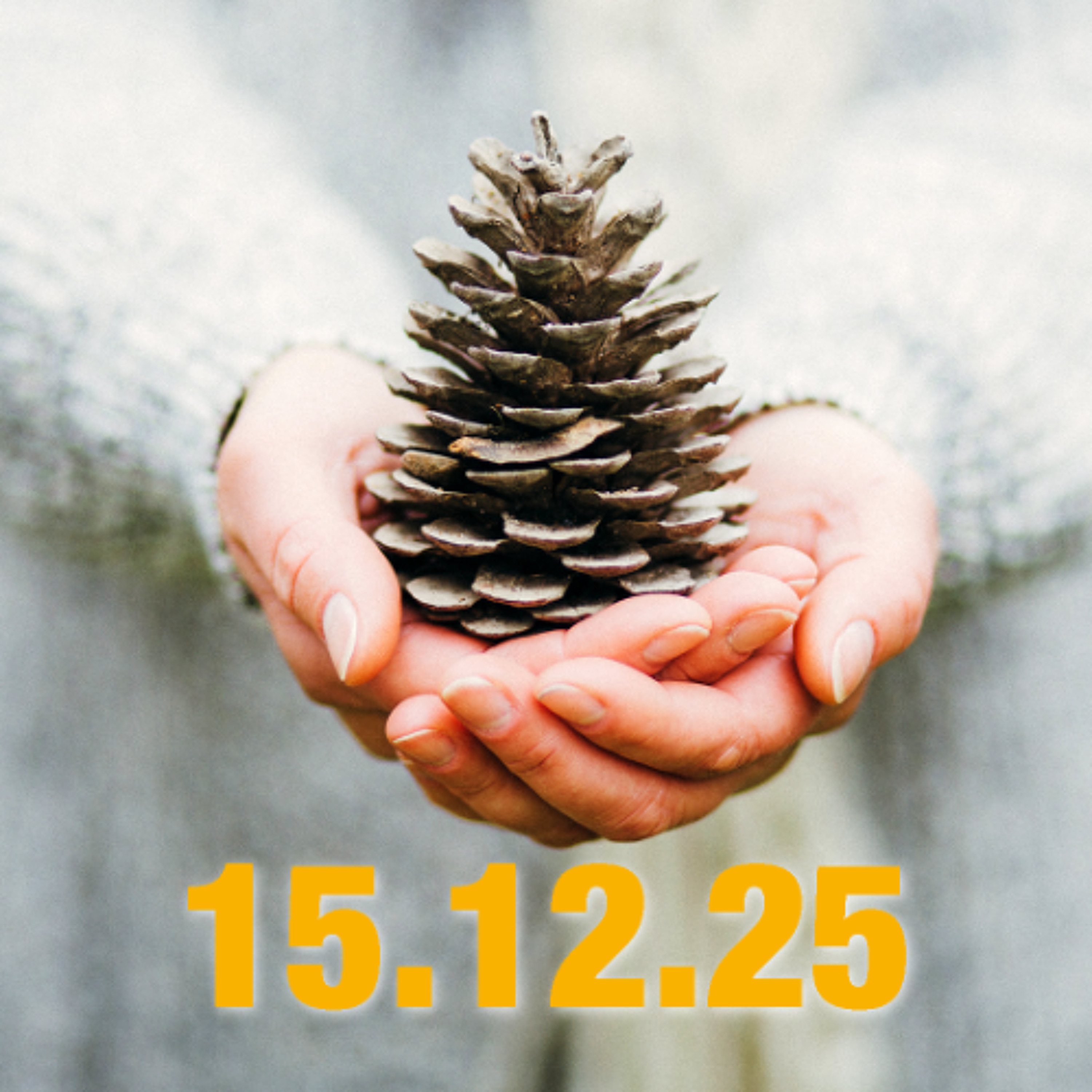 Fasst neue Hoffnung! – Adventsimpuls zum 15. Dezember 2025 Fasst neue Hoffnung! – Adventsimpuls zum 15. Dezember 2025