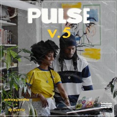 PULSE V.5 -(Amapiano 2022) DJs Quartz & Ashwagandha