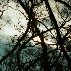 [electronica06] elusive elements - mix
