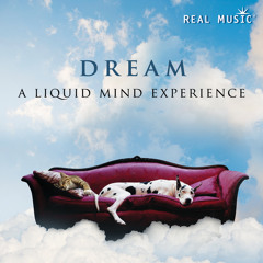 Dream Thirty