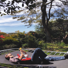 Sentimentalism (08.01.2026)