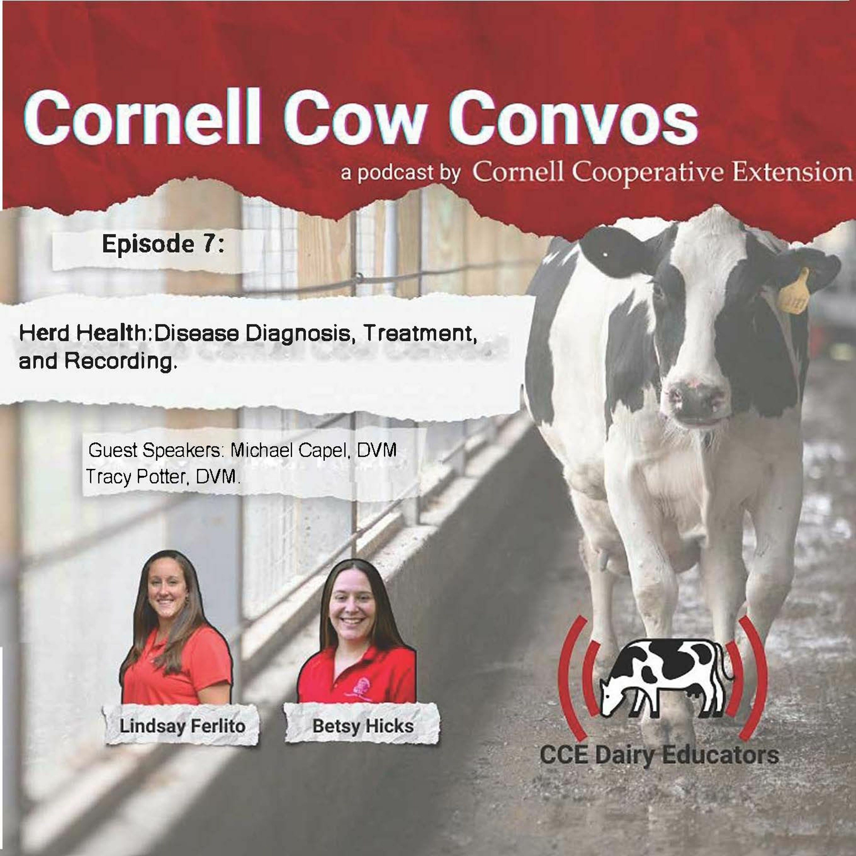 CCE DAIRY EDUCATORS