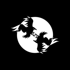 SU&MER || THE RAVEN NIGHT SESSION #2