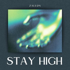 ZALEØN - Stay High (VIP Remix)