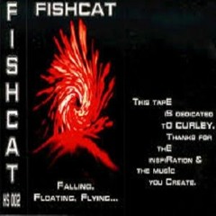 Fishcat •°• Falling Floating Flying .•° Hsoo2 °• 1999 •°Face B .•° Dedicated to Curley ▫ᵒᴼᵒ▫ₒ▫ᵒᴼ)))