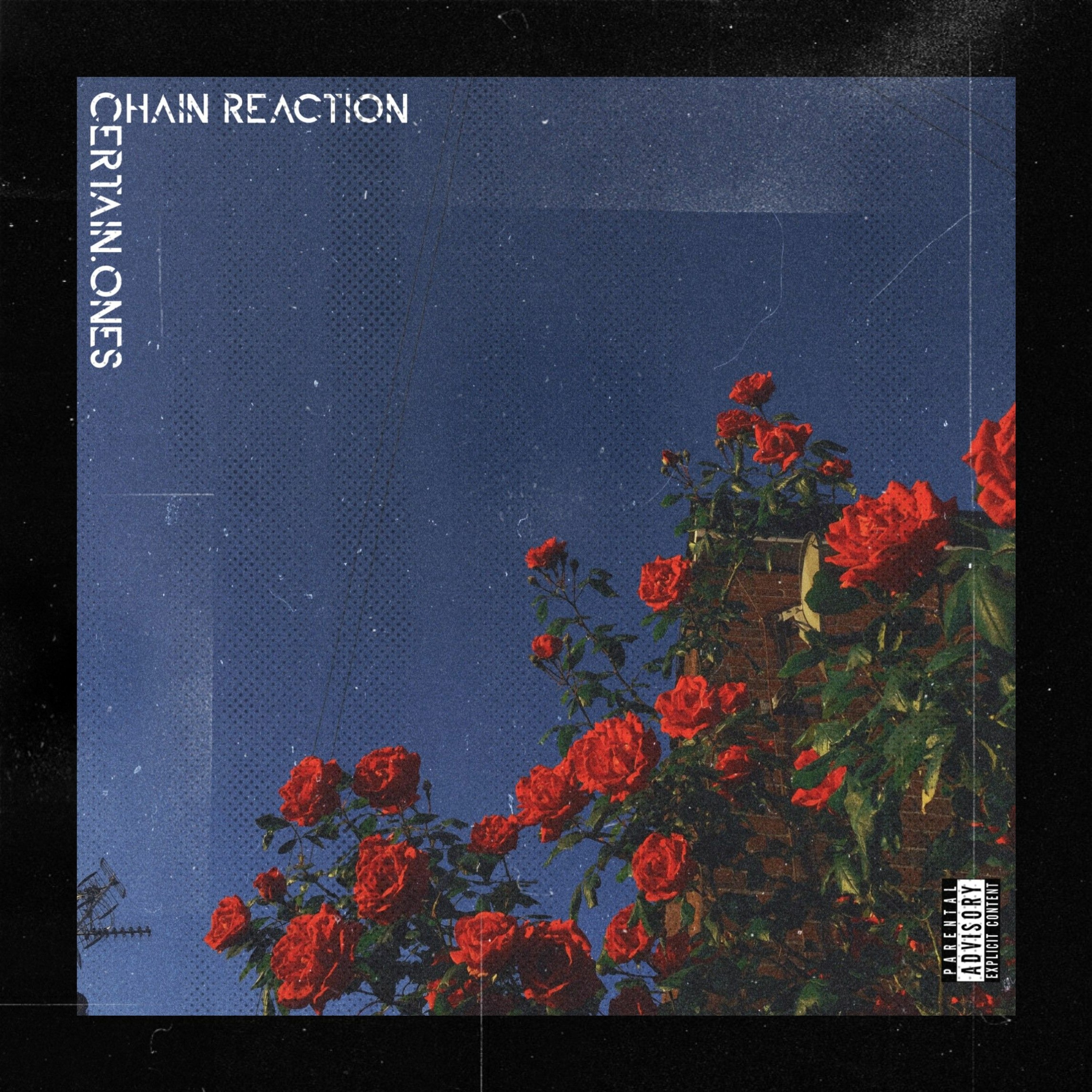 CHAIN REACTION | VerseS. • JIMMI DA GRUNT • FORTIFIED MIND • GUTTAMOUF • STRESS • CRAVES • SKLOBI episode artwork