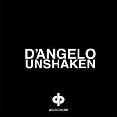 D`Angelo - Unshaken (Paul Damixie`s Private Edit)