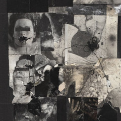 no haber conocido lo más humano