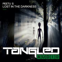 TA228 : Peetu S - Lost In The Darkness (Radio Edit)