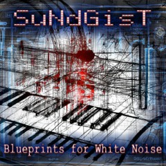 Blueprints for White Noise