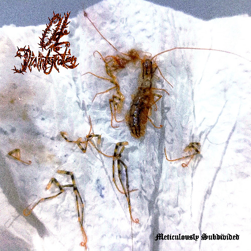 Meticulously Subdivided