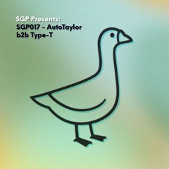 SGP017 - AutoTaylor B2B Type-T