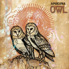 MIX: Apukuna - Owl