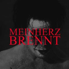 Mein Herz Brennt (Rammstein Cover)