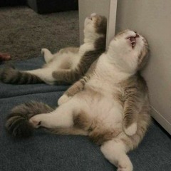 anh phai lam sao? ft GNARPI