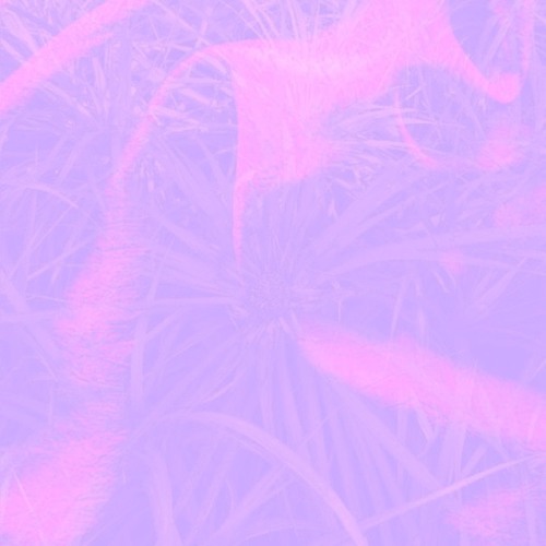 mist