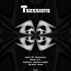 Valentinø - Northern Lights[T Sessions 13]