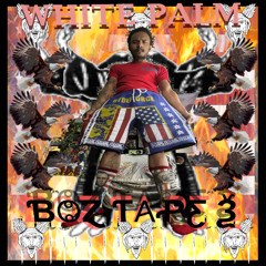 Seem Human (Prod. Atx Boz)