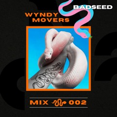 Wyndy Movers~002