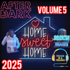 READY FOR SUMMER, AFTERDARK VOL 5 2025 MIX MFD, CALLE, X5 DUBS, HITTY, MARK WHITE, WIRED FAULTY