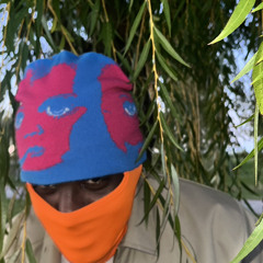 poppin- B. jesus, reg and kountry