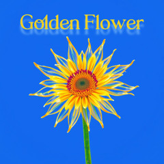 SpanierMitAuto - Golden Flower