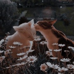 [ Slowed ] Bầu Trời năm ấy - Sean x Hast x Anfang