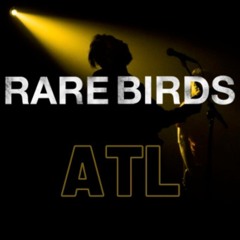 Nocturnal Woman Of Action - Rare Birds ATL - 16Bit 4.09 Min
