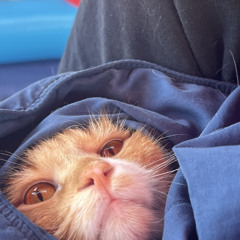 once again (Prod. crude)