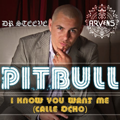 Pitbull - You Want Me (Dr Steeve & Arvens) Remix
