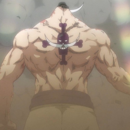 One piece - Skull with crossed bones (Dokuro wa shinenn no Shouchou) (i am whitebeard OST)