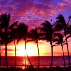 Mo`Horizons - Dance Naked Under Palmtrees