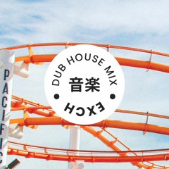 Dub House mix