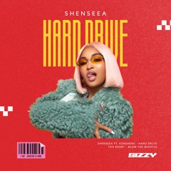 HARD DRIVE (Sizzy - Blow the Whistle Edit)