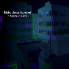 Night Chirps Littlebird(Radio Edit)