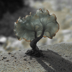 PREMIERE: Justin Berkovi - Red Dawn [SMV013]