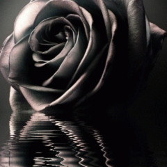 "Roses"Inspiring/Oldschool Hip Hop Beat prod Szk.LanY