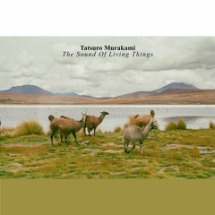 previews. Tatsuro Murakami - The Sound Of Living Things (Album) | Lᴏɴᴛᴀɴᴏ Series