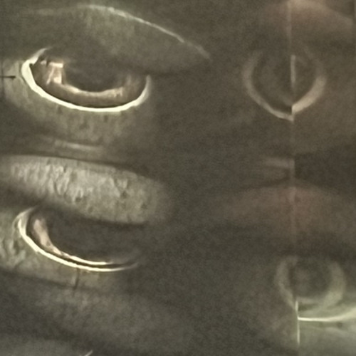 455/11 (free dl)