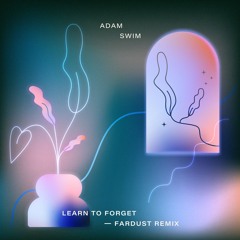 Learn To Forget (Fardust remix)