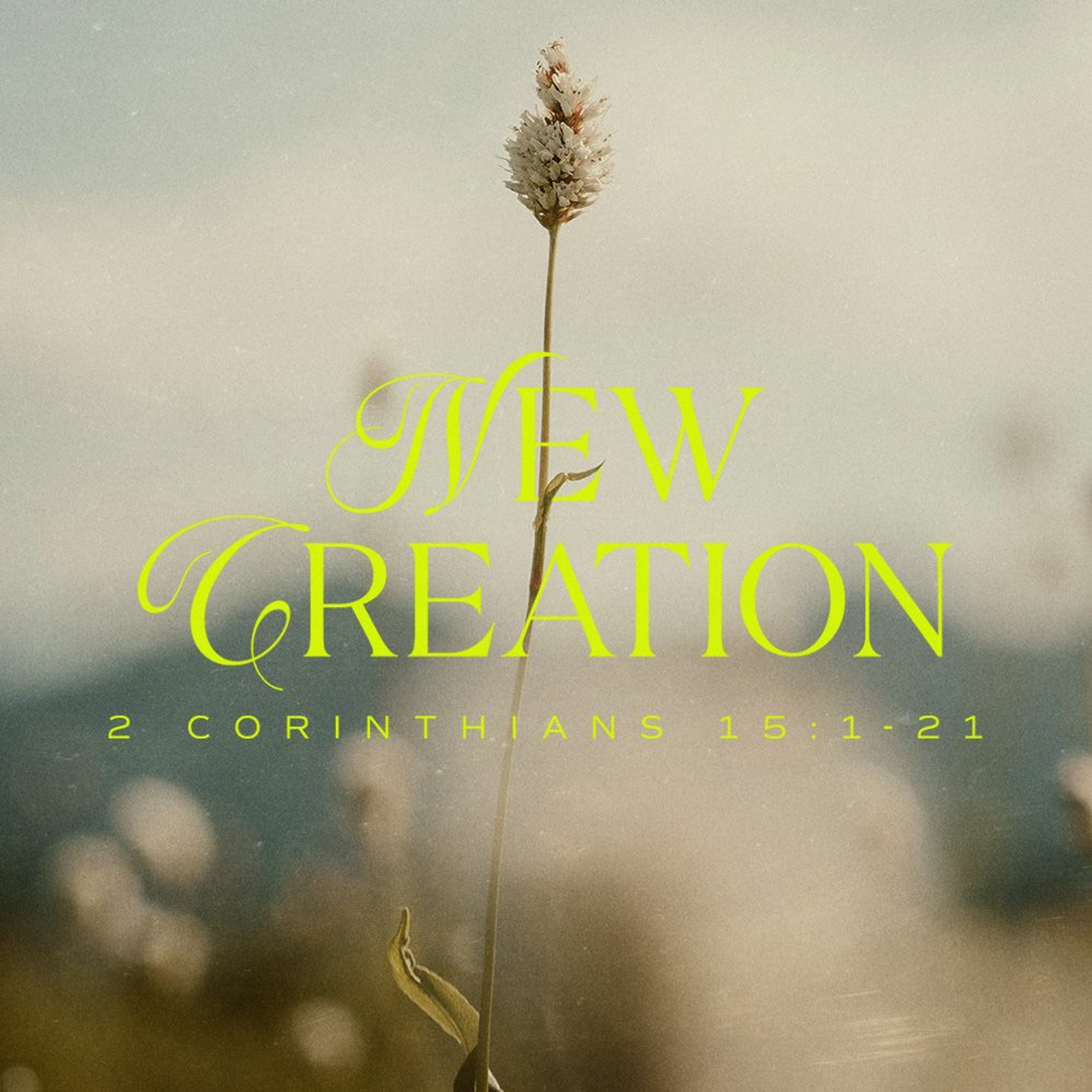 New Creation | Part 3: A Privilege and a Responsibility | Dawn Jonckowski episode artwork