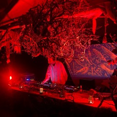 Bogdan Orbita DJ Set @ Waha Festival 2024