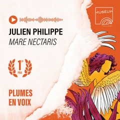 Mare nectaris de Julien Philippe