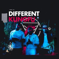 DifferentKungFu