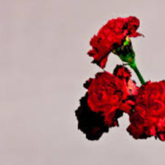 "until i found you" Duet Cover